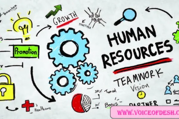 What-Is-Human-Resource