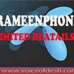 Grameenphone Limited details